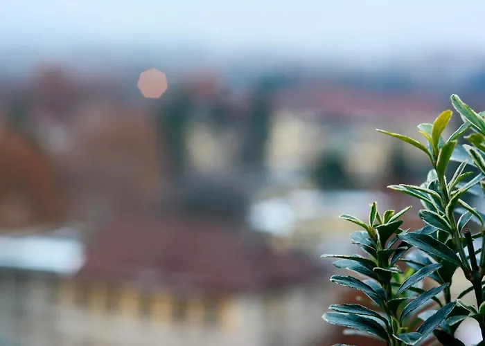 Sunny Side I Turin Suite