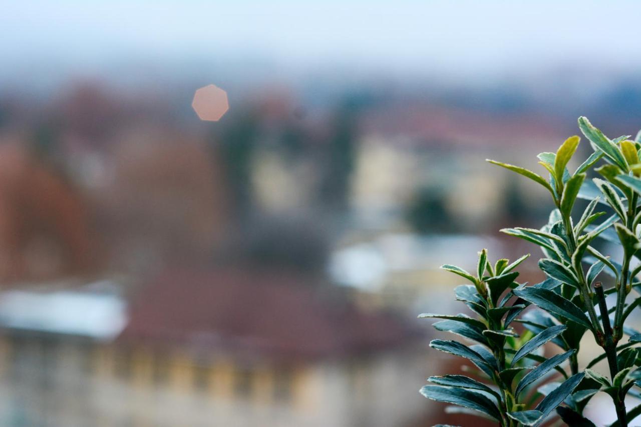 Sunny Side I * Turin